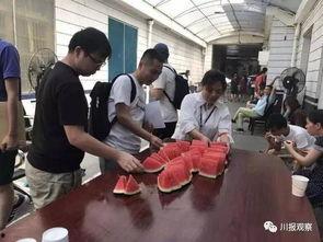 吃瓜群众图片真人,他们眼中的娱乐圈