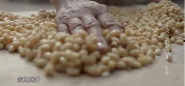 娱乐吃瓜酱麻绳,揭秘娱乐圈背后的麻辣故事