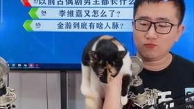 秀才侃娱乐娱乐圈吃瓜,娱乐圈吃瓜大揭秘，笑料百出！