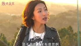 二哥吃瓜娱乐圈,娱乐圈幕后风云大揭秘