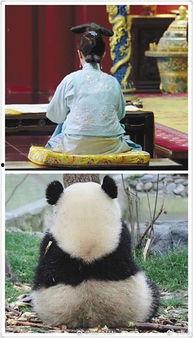 娱乐圈吃瓜群众的句子,揭秘明星幕后故事