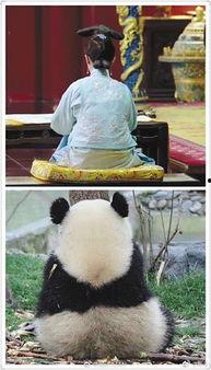 吃瓜群众说娱乐,揭秘吃瓜群众的八卦盛宴