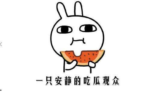 娱乐吃瓜点评怎么写的啊