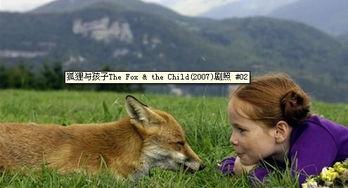 娱乐吃瓜酱狐狸